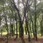 De 3* Sarria