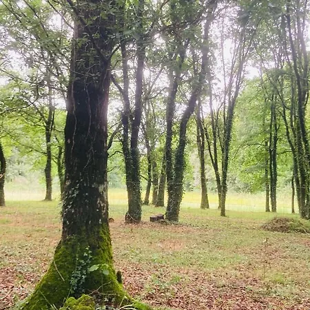 De Campingplatz Sarria