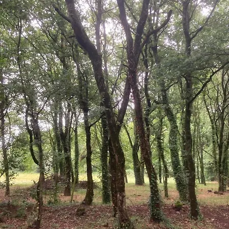 De 3* Sarria